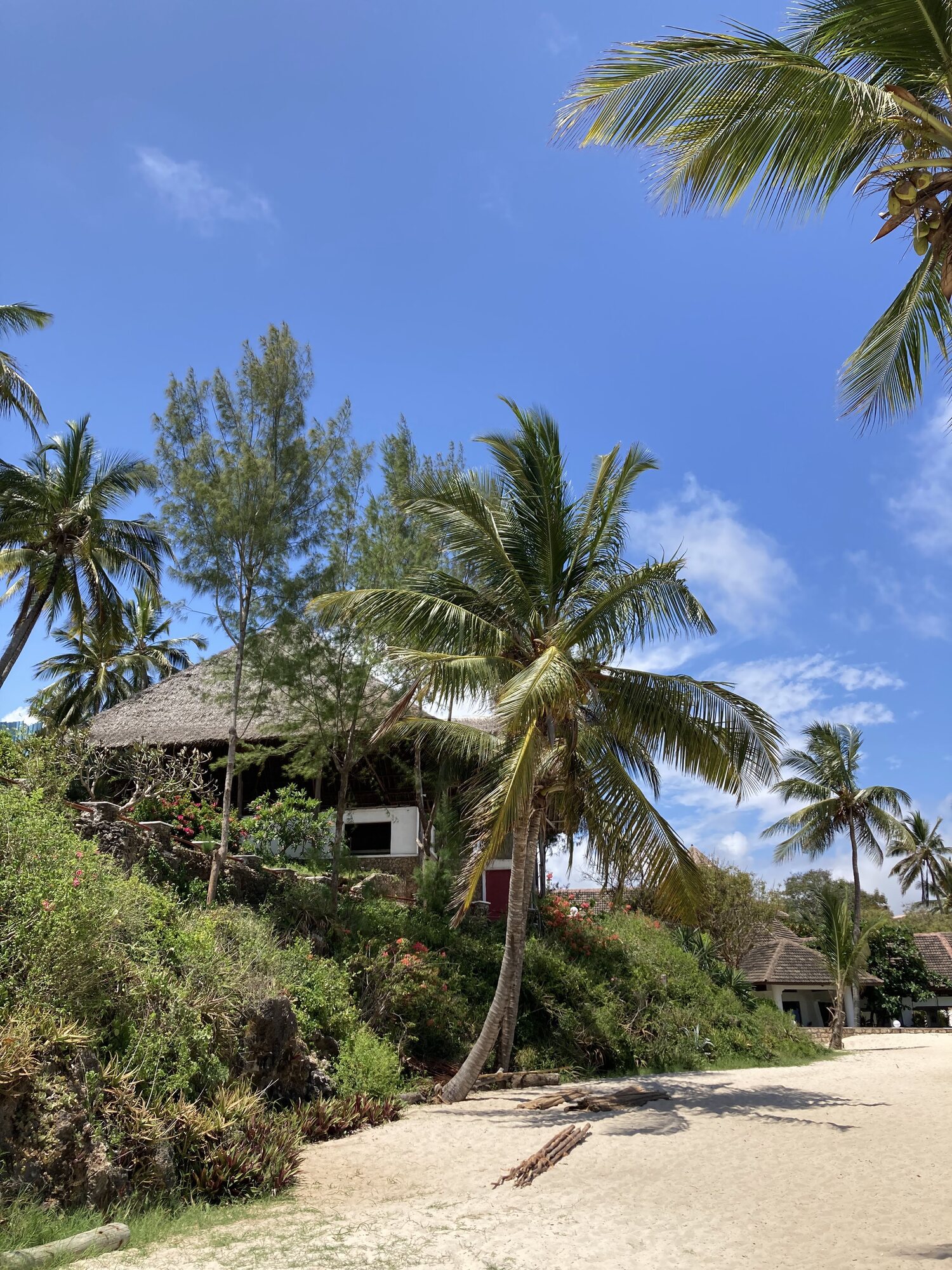 The Mombasa coast